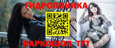мдпв Кандалакша