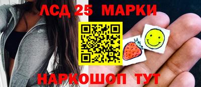 гидропоника Камышлов