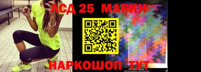 гидропоника Камышлов