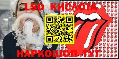 гидропоника Камышлов