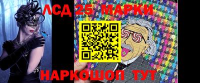 гидропоника Камышлов