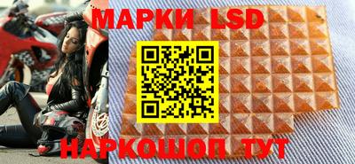 гидропоника Камышлов