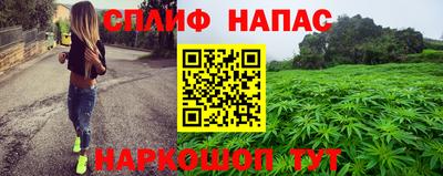 гидропоника Камышлов