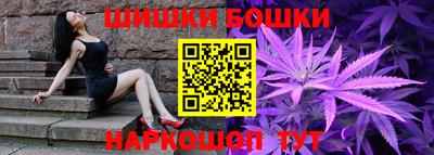 гидропоника Камышлов