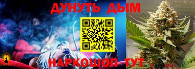 гидропоника Камышлов