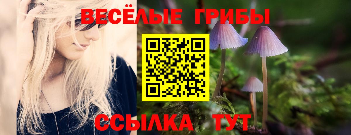 Галлюциногенные грибы мицелий  наркотики  Курчалой  Вход с VPN  Галлюциногенные грибы Psilocybe 
